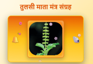 Tulsi maa Mantras in Hindi