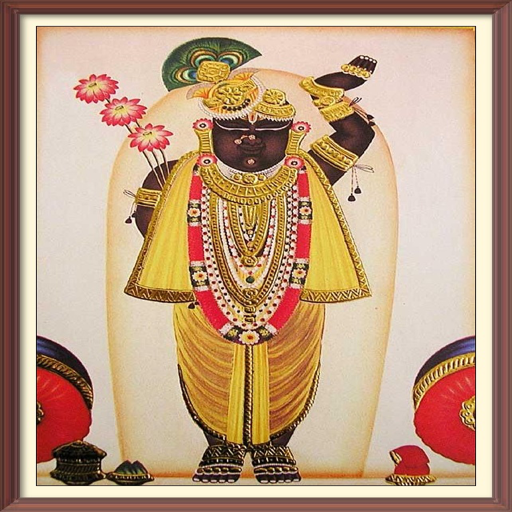 यमुनाष्टकजी श्रीनाथजी